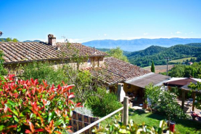 Lionforti Da Vico Greve In Chianti